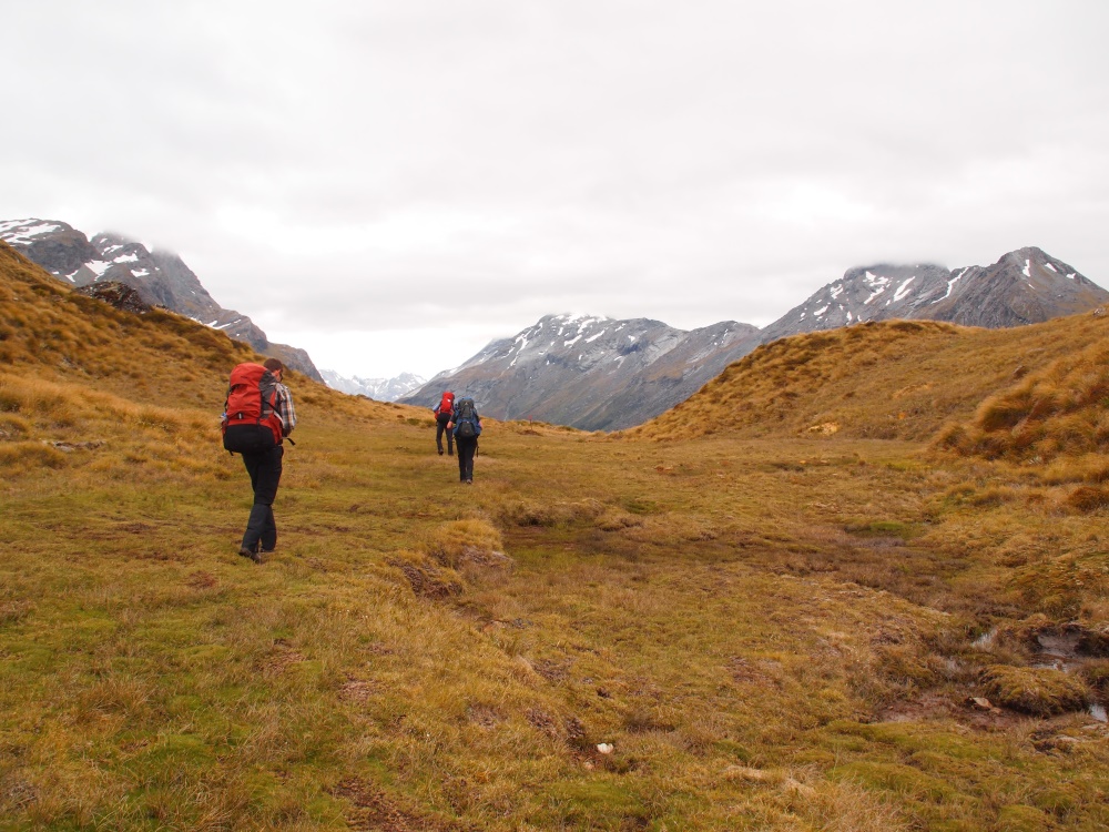 Walking in New Zealand by Danielle Curnow-Andreason