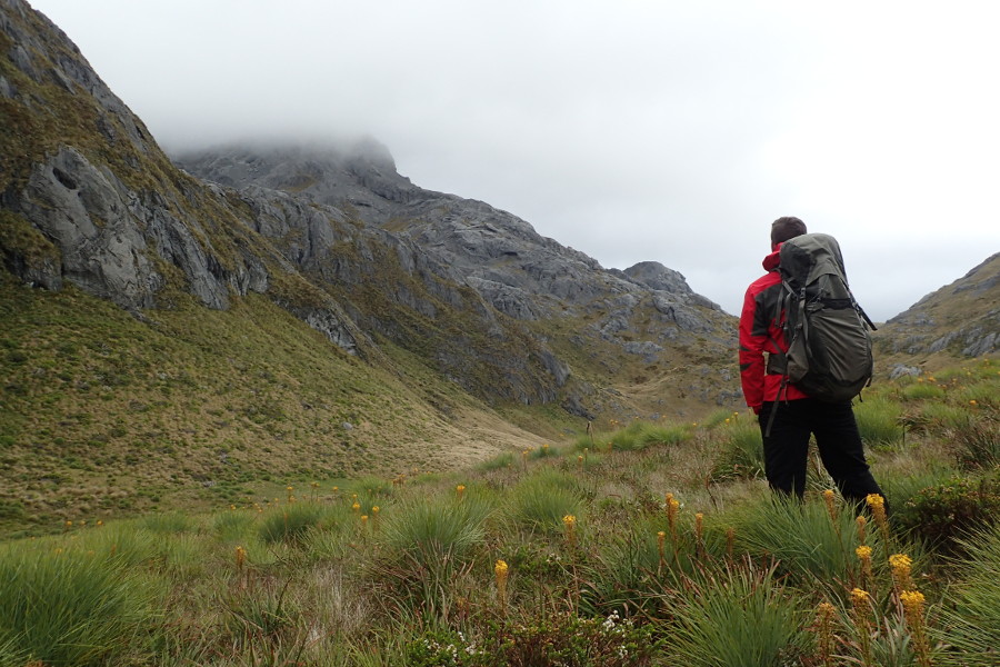 Caving in NZ